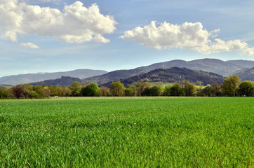 Frühling im Dreisamtal im Schwarzwald