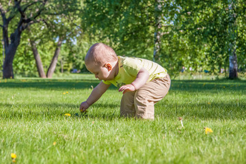 Naklejka na ściany i meble Warm may. Spring walk. Funny games for children on the lawn.