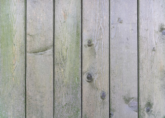 Old wooden panel background
