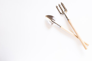 Tools for gardening at home. Growing food on windowsill. Copyspace for text, top view. Flatlay on white background