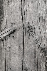 old wooden texture wall background