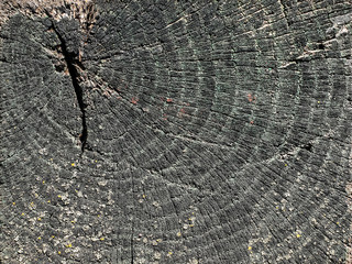 old wooden texture wall background