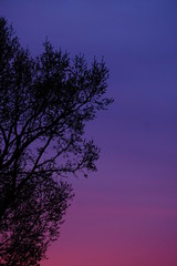 Fototapeta na wymiar Sunset Sky Gradient evening nature