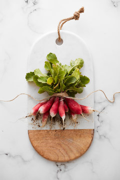 Bunch of radishes on marble board