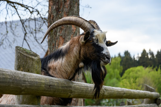 「Rammen」の画像 - 2,060 件の Stock 写真、ベクターおよびビデオ | Adobe Stock