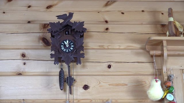 Traditional wood cuckoo clock with bird strikes sound 11 times at eleven o'clock. Watch hangs on wooden wall in mountain cabin accompanied with two Easter chickens - soft and wooden toys