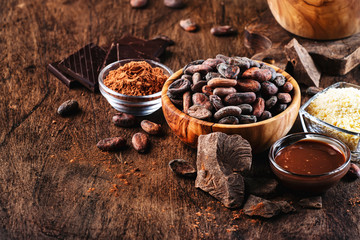 Various organic cocoa products. Cocoa beans, cocoa powder, cocoa butter, dark chocolate, liquid chocolate, grated cocoa on wooden background. Copy space