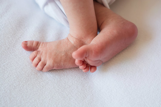 newborn baby feet on white background