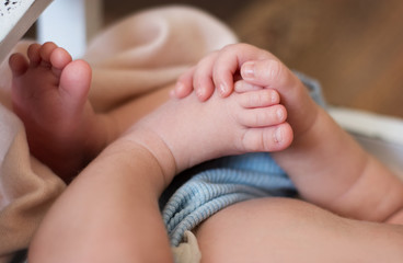 Fototapeta na wymiar newborn baby holds its leg in bed. baby feet