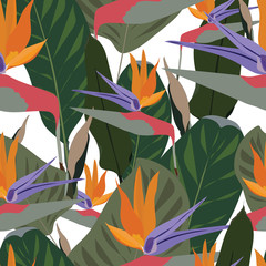 Seamless vector pattern of mixed: bird of paradise flowers with tropical green leaf isolated on white background. Cool african crane flower or strelitzia reginae blossom floral fabric pattern.