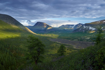 Wilderness. Valley and mountain on the horizon. Volcanic terrain.