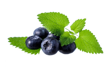 Fresh blueberries and melissa leaves isolated on white background.