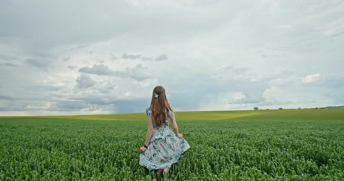 Young woman walking away from the camera across an agricultural field through a green spring crop in a slow motion view against a cloudy blue sky
