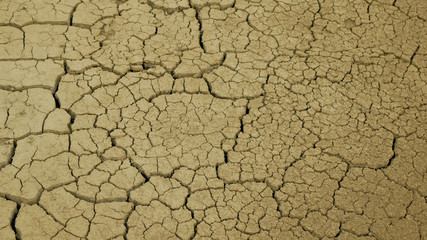 Very drought wetland, swamp and pond drying up the soil cracked crust earth climate change, environmental disaster and earth cracks very, death for plants and animals, soil dry degradation