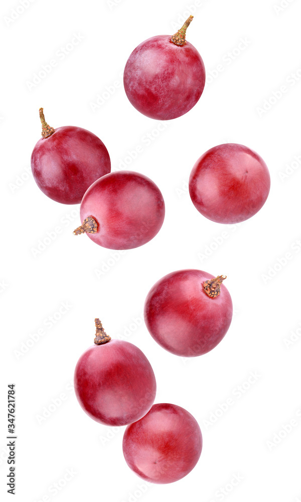 Wall mural red falling grapes isolated on a white background with clipping path.