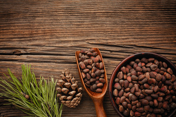 Siberian pine nuts and needles branch on a wooden table with a place for your text