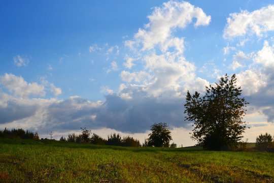 Scenic View Of Grassy Field Against Cloudy Sky © piotr mazur/EyeEm