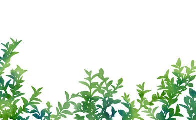 Spring watercolour plants. Hand painted picture isolated on a white background. Decorative image for creative design of cards, invitations, banners, websites, posters. Green branches.