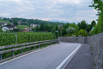 The municipality of Appiano near Bolzano in the Italian south of Tyrol.