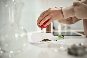 Close up of womans hands putting grinded weed on a paper while emptying out red marijuana grinder. Glass water pipe or bong and lighter on the table
