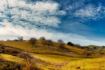 Fototapeta premium autumn landscape with trees and blue sky