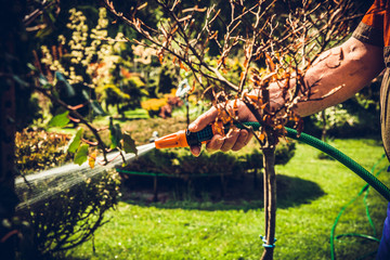 Sprinkler grass irrigation. Soil irrigation with water in the garden, the concept of care for the beauty of the garden, allotment season. Gardener cares for proper moisturizing of the soil.