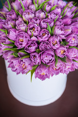 Bouquet of flowers. Lilac tulips.