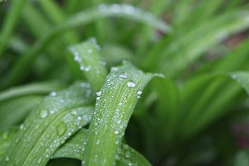 한국 인천시 남동구 인천대공원 입니다