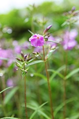 한국 인천시 남동구 인천대공원 입니다