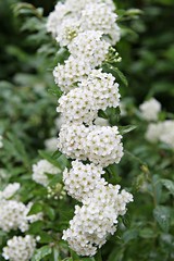 한국 인천시 남동구 인천대공원 입니다