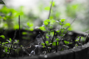 Pequeños maravillosos detalles
