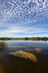 Beautiful summer cloudscape reflected on calm water of Nine Mile Pond in Everglades National Park, Florida with large exposed boulders in foreground.