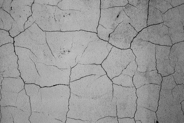 Pequeños maravillosos detalles