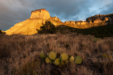 Casa Grande at sunset;  Big Bend NP;  Texas