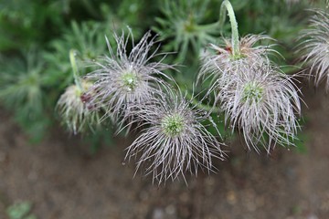 한국 인천시 남동구 인천대공원 입니다