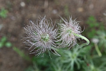 한국 인천시 남동구 인천대공원 입니다