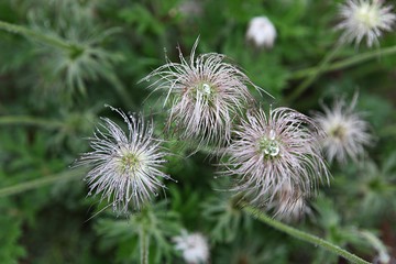 한국 인천시 남동구 인천대공원 입니다