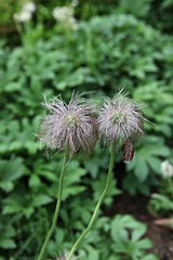 한국 인천시 남동구 인천대공원 입니다