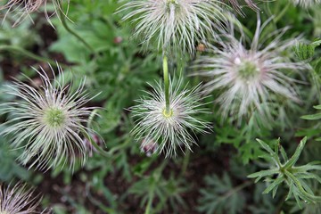 한국 인천시 남동구 인천대공원 입니다