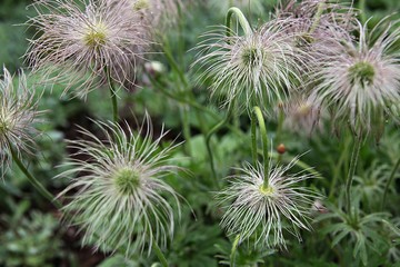 한국 인천시 남동구 인천대공원 입니다