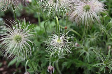 한국 인천시 남동구 인천대공원 입니다