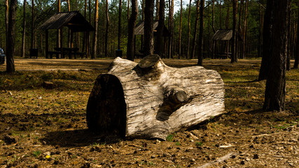 
Tree trunk and View of the Sokolich and Olsztyn nature reserve. Free space for an inscription
