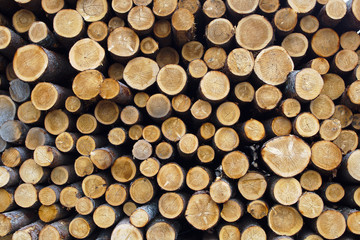 wood stack timber woodpile trunk side view circle pattern forest industry