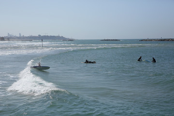 Naklejka premium surfers on a wave in the blue sea. Active sports people surfers
