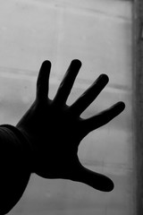 Pequeños maravillosos detalles