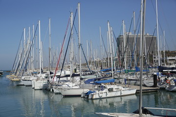 Fototapeta na wymiar boats and yachts in the harbor or marina. Poster, banner, background