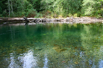 Little Qualicum River (BC 00760)