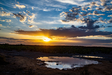 Fototapeta na wymiar Sunset at Moringa Waterhole