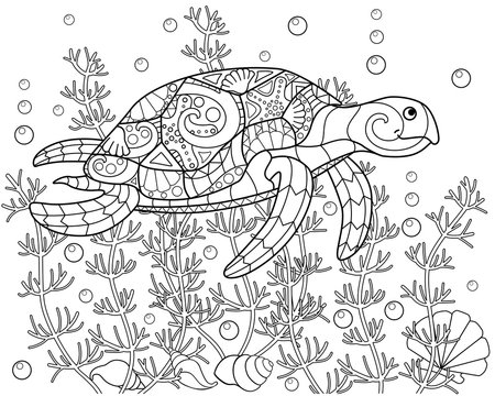 Turtle swimming among algae, shells and bulbs - vector linear horizontal coloring page. Coloring book picture underwater world - sea turtle is swimming. Coloring book antistress with a turtle.