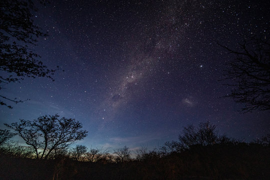 The Night Skies over Etosha National Park